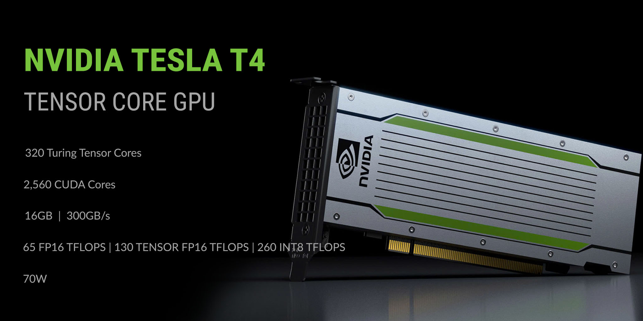 Khám Phá Sức Mạnh Của NVIDIA Tesla T4 Trong Các Ứng Dụng AI Và HPC